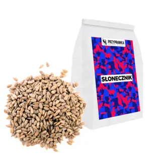 Słonecznik Łuskany